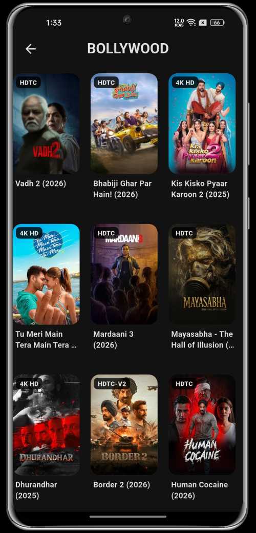 RzFlix Overview 2